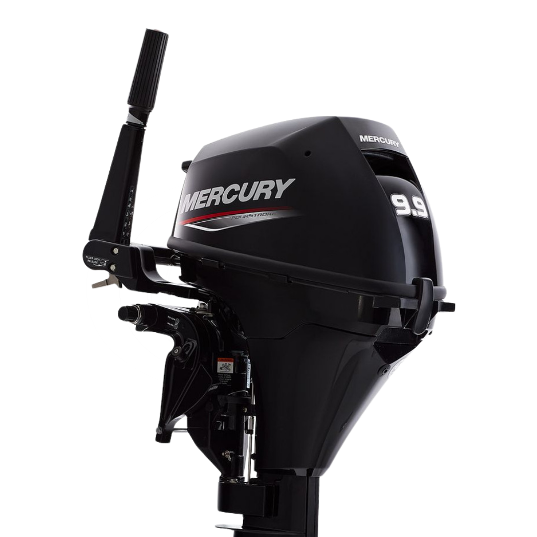 Mercury 9.9 HP EFI EH outboard